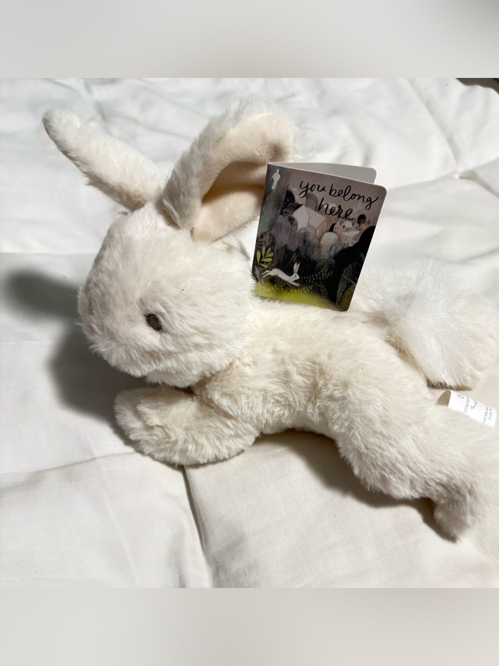 Stuffed Animal Soft Rabbit from the book “You belong Here” NWT